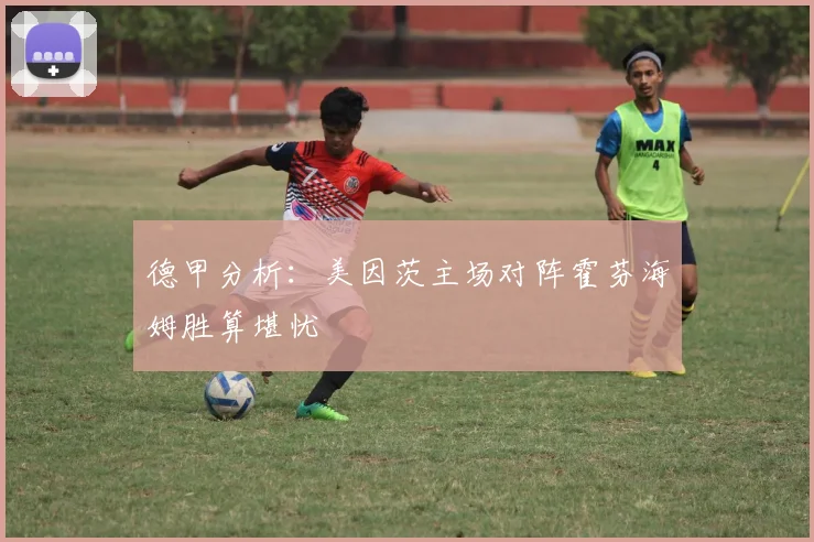 德甲分析：美因茨主场对阵霍芬海姆胜算堪忧